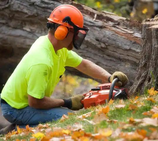 tree services Whitefish